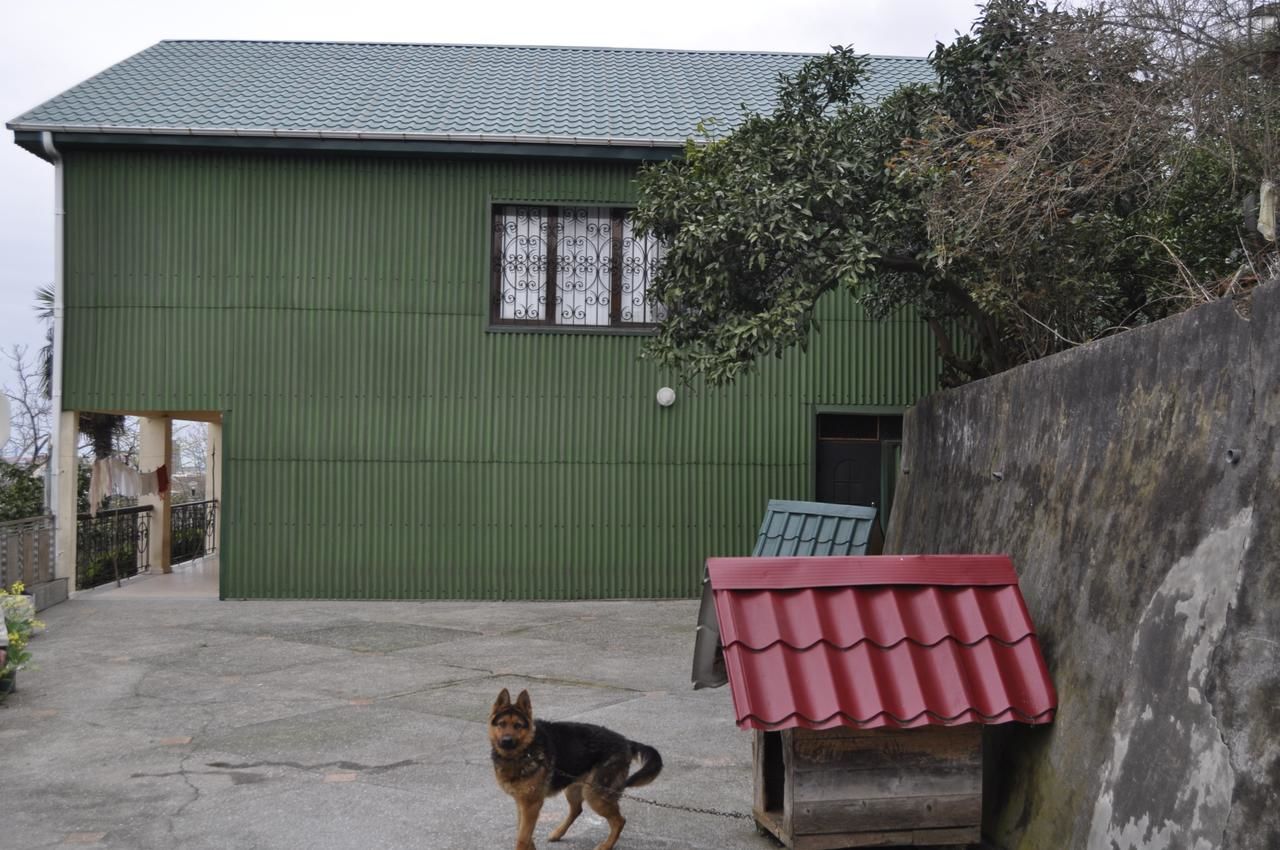 Проживание в семье Batumgora House Батуми-24