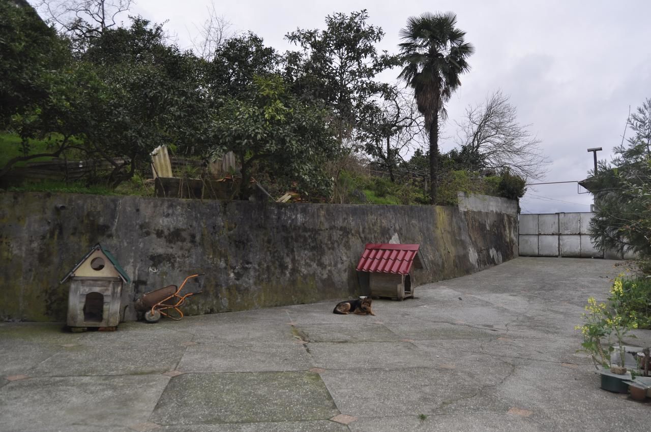 Проживание в семье Batumgora House Батуми-34