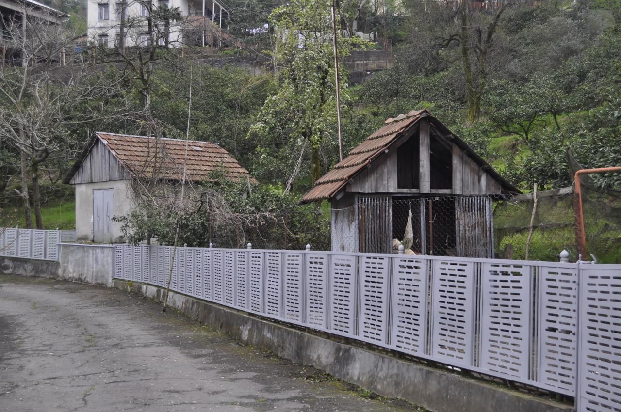 Проживание в семье Batumgora House Батуми-7