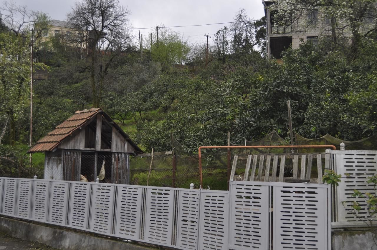 Проживание в семье Batumgora House Батуми-45