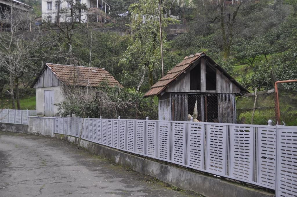 Проживание в семье Batumgora House Батуми-56