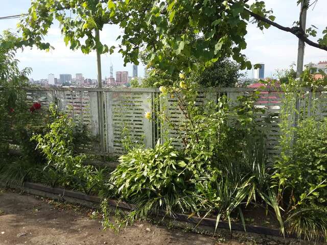 Проживание в семье Batumgora House Батуми-26