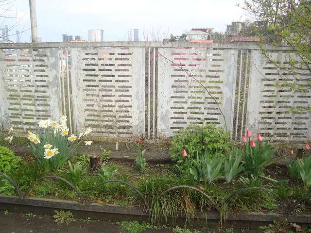 Проживание в семье Batumgora House Батуми-5