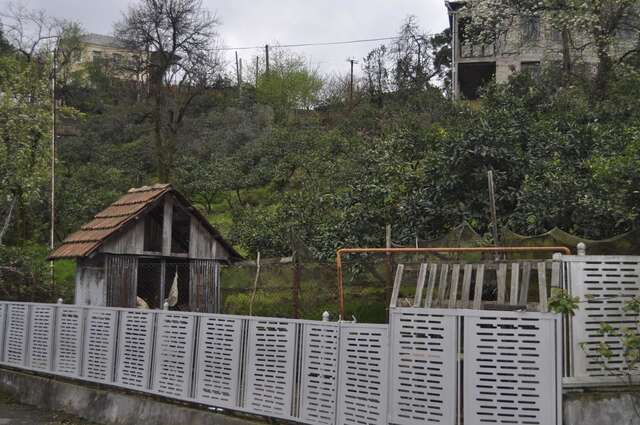 Проживание в семье Batumgora House Батуми-44